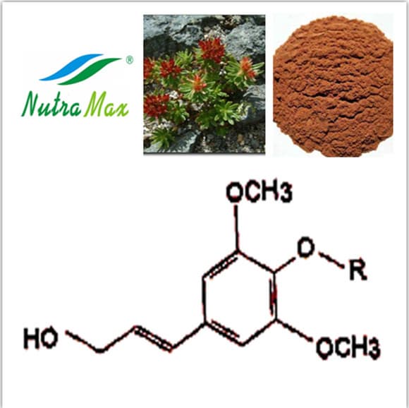 Rhodiola Rosae Extract