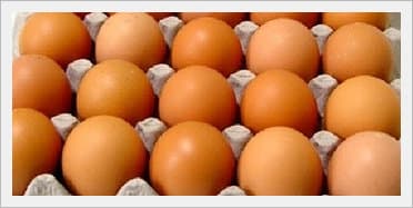 Fresh Brown Eggs in Bulk(Food Material)
