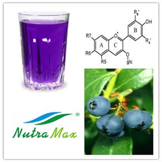 Blueberry Extract Juice 65 Brix