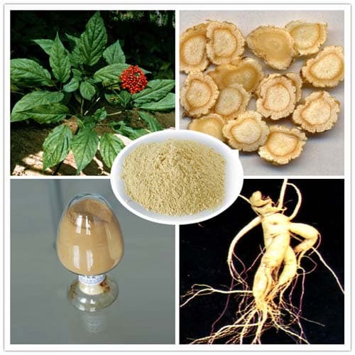 Ginsenoside/Ginseng extract