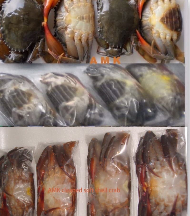 Soft Shell Crab(alive frozen seafood)Mr Yee Hlaing,AMK,Yangon, Myanmar