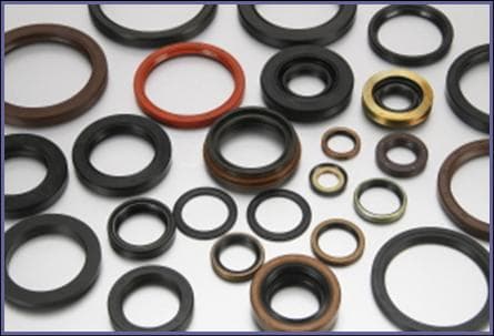 OIL SEAL