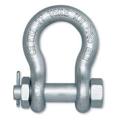Forged Alloy Anchor Shackle with Bolt Pin -IJIN MARINE LIMITED
