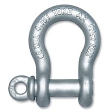 Forged Anchor Shackle with Screw Pin-IJIN MARINE LIMITED