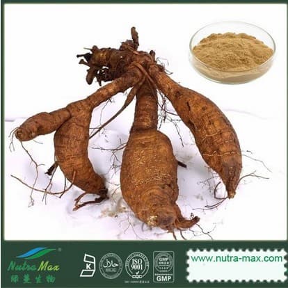 Pueraria (Kudzu Root) Extract 40% Isoflavnis