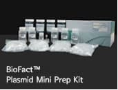 BioFact Plasmid Mini Prep Kit