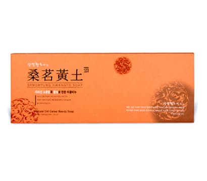 Sangmyung hwangto soap