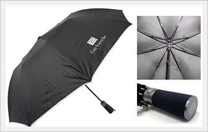 2 Folding Umbrella