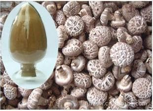 High qualit Shitake Mushroom Extract