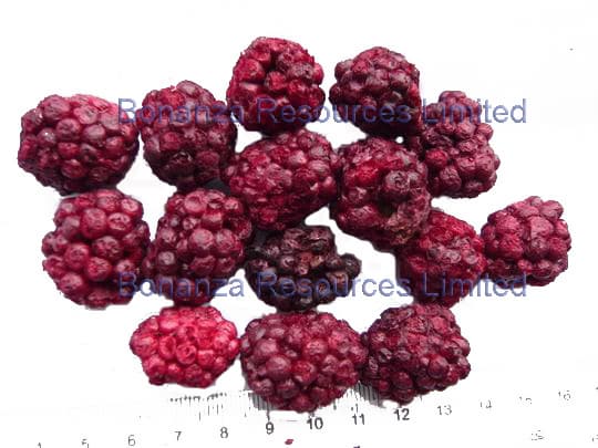 Freeze Dried Blackberry Health Fruit