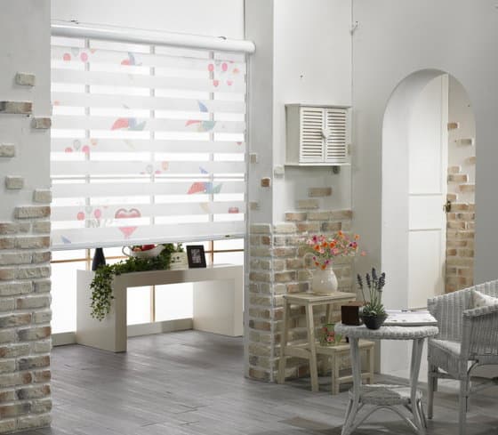 Graphic Combi Shade Blinds