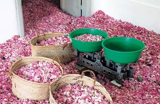 MOROCCAN ROSE WATER