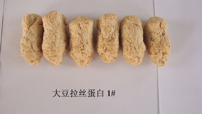 Textured Soy Protein(TVP)- SW5006-Concentrated