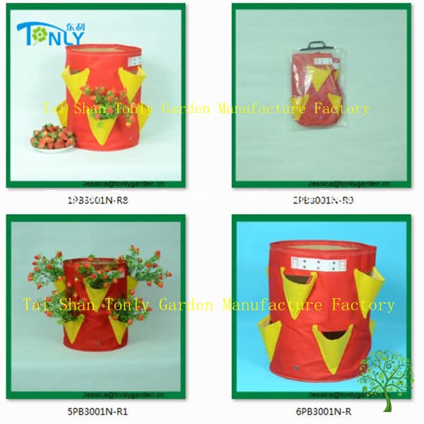 Strawberry Planters Bag