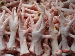 Halal Chicken Frozen Chicken Feet and Paws for sale