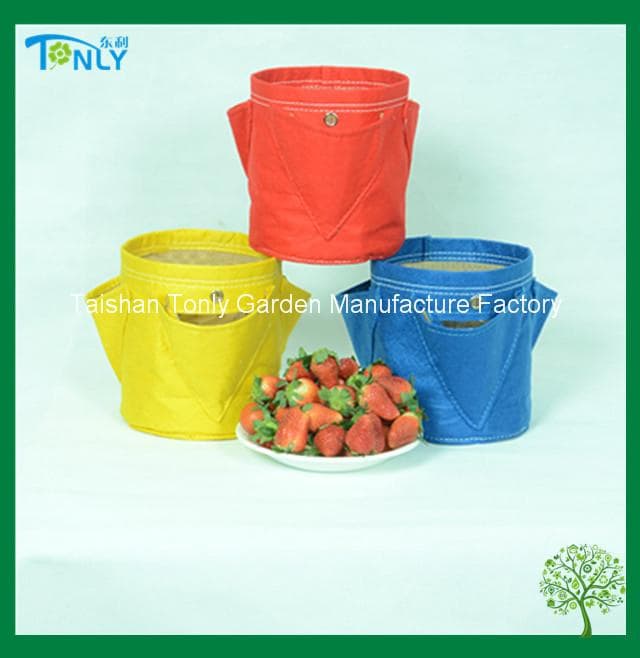 Patio Strawberry Grow Bag