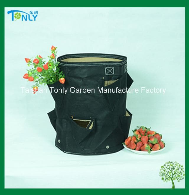 Pocket Strawberry Grow Bag