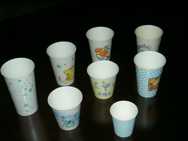 PLA PAPER CUPS