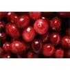 Cranberry extract plant extract,herbal extract