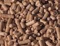 Pine wood pellets and Oak Wood Pellets