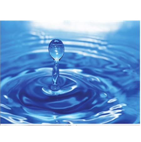 X-COAT® Water-Borne Polymer