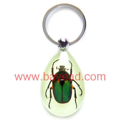 man made insect amber keychains,key ring,so cool gift,very unique gift,bayead