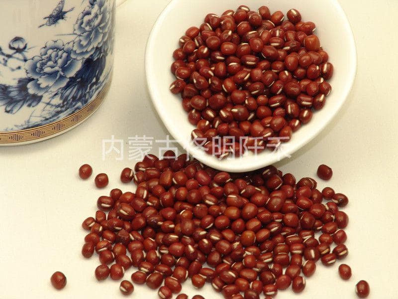 Small red bean