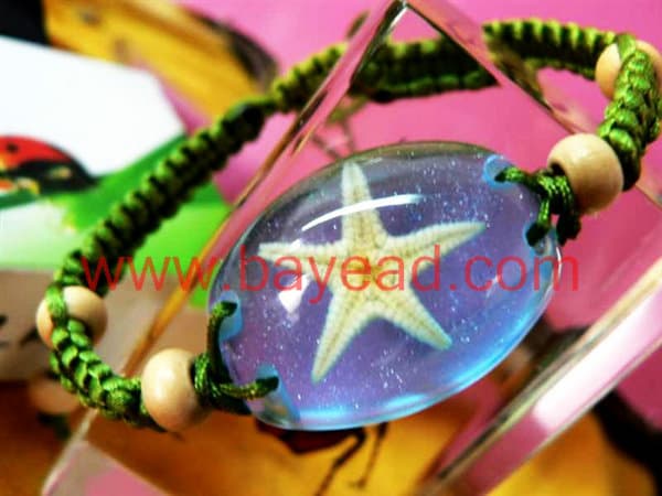 real starfish and seashell resin Bracelet Fashion Jewelry,good luck Jewelry,lucky Jewelry