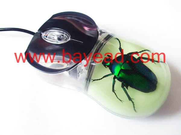 man made insect amber optical USB computer mouse,so cool gift