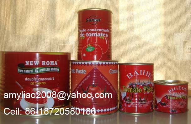 Canned Tomato Paste in Double Concentration