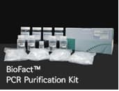 BioFact PCR Purification Kit