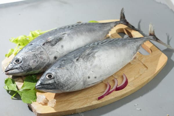 tuna, yellowfin tuna