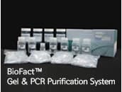 BioFact Gel   PCR Purification System 