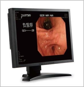 Medical Grade LCD Monitor 19inch 1.3MP Color
