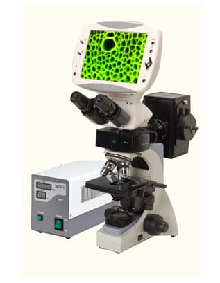 Digital LCD fluorescence microscope DMS-853 | tradekorea